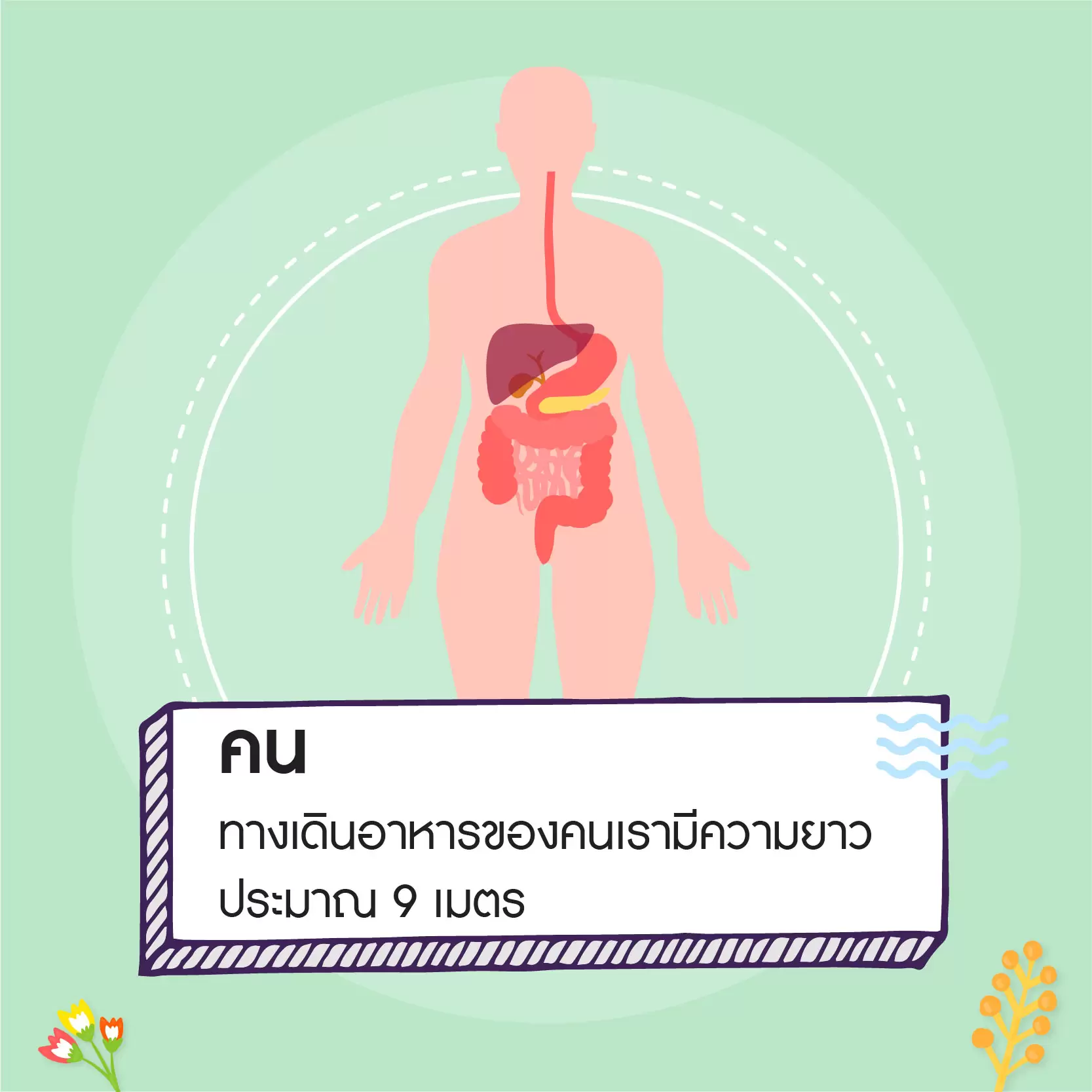 info ระบบย่อย-01