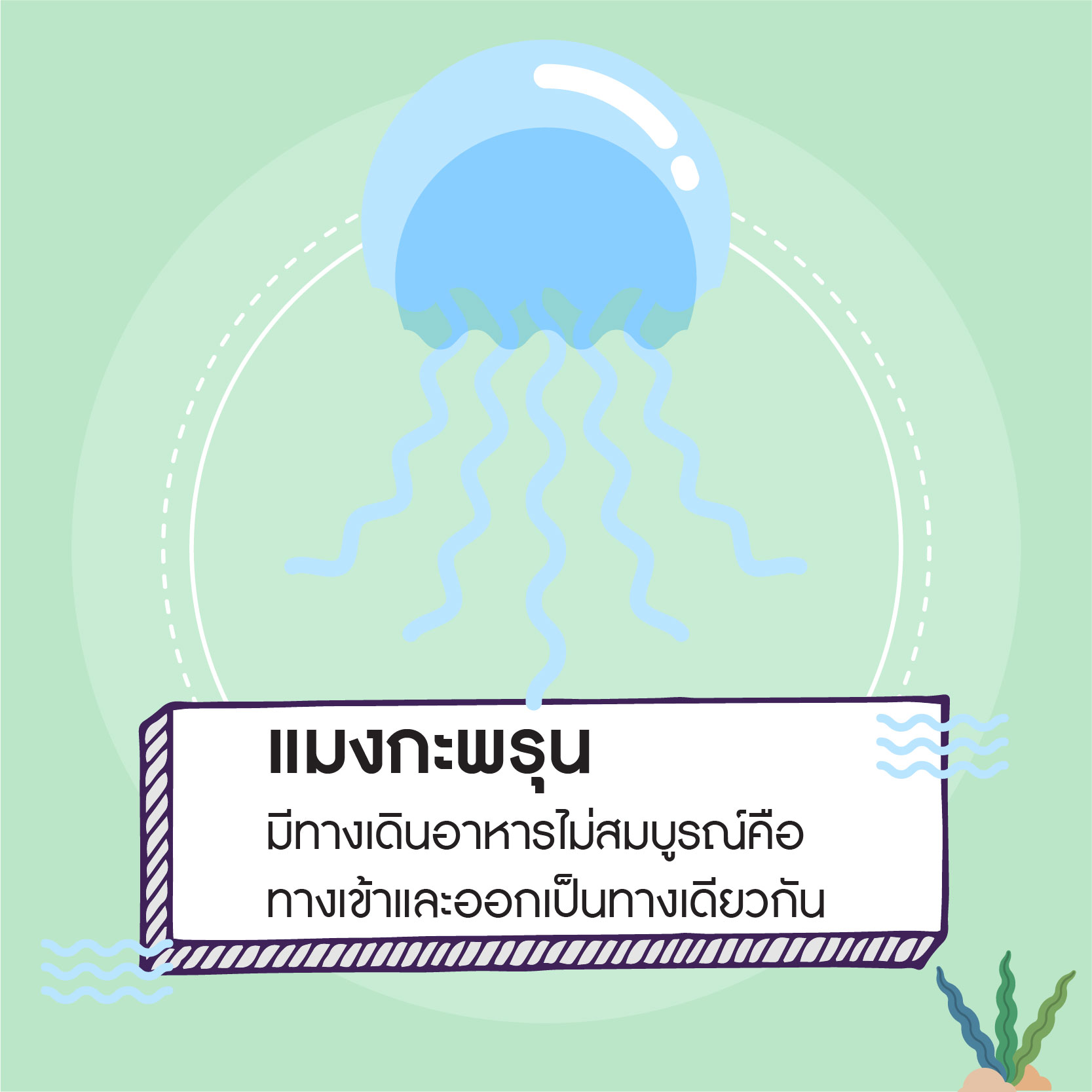 info ระบบย่อย-05
