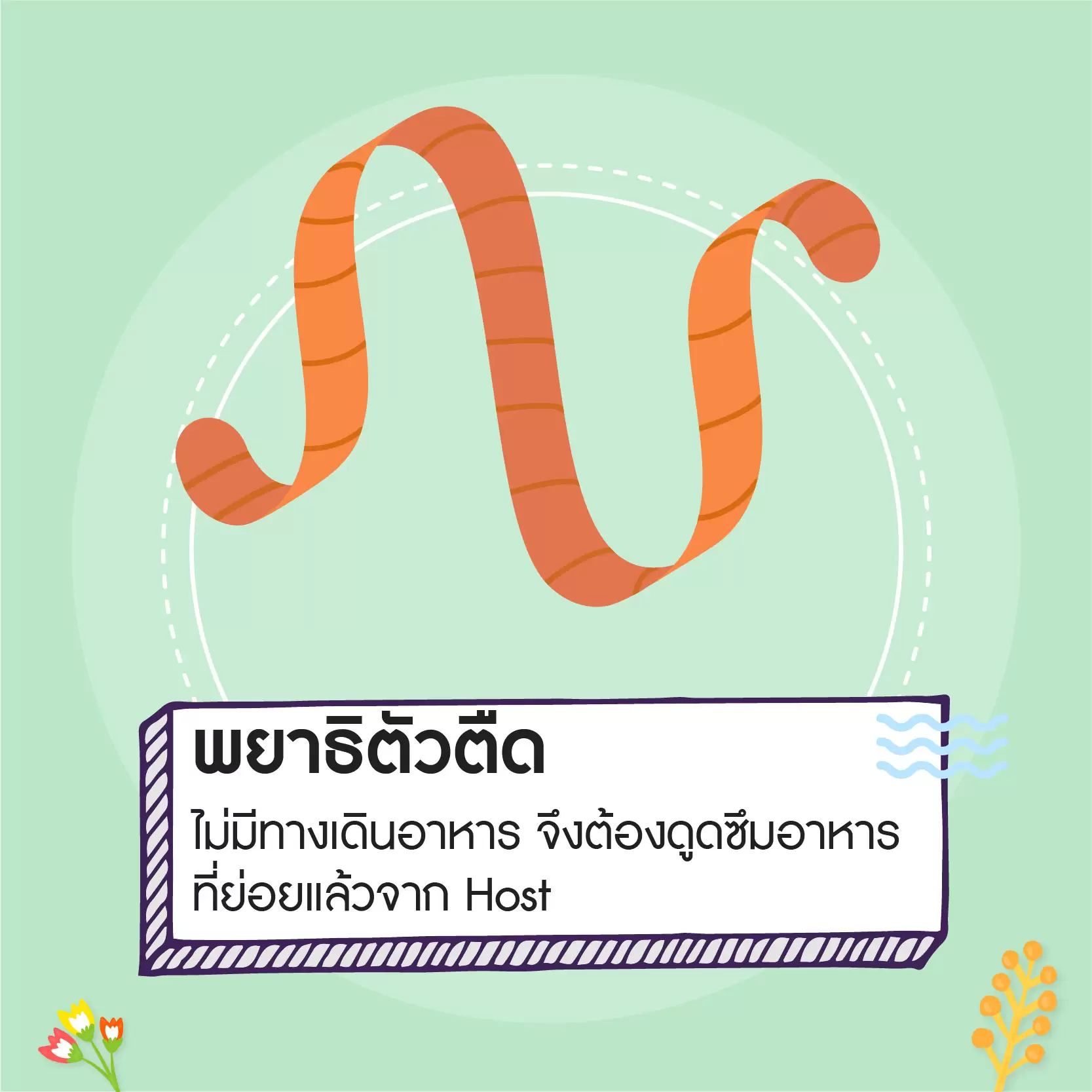 info ระบบย่อย-06