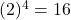 (2)^4 = 16