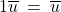 1\overline{u} \: = \: \overline{u}