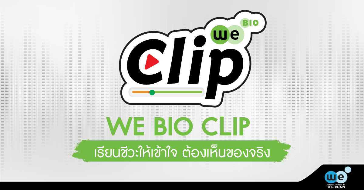 WE-BIO-CILP