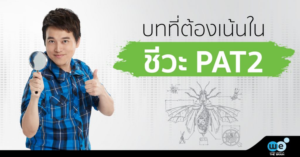 ชีวะ-pat2-ออกบทไหนเยอะ