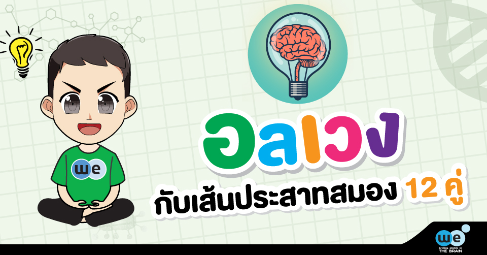 ชีวะ-อลเวงกับประสาทสมอง