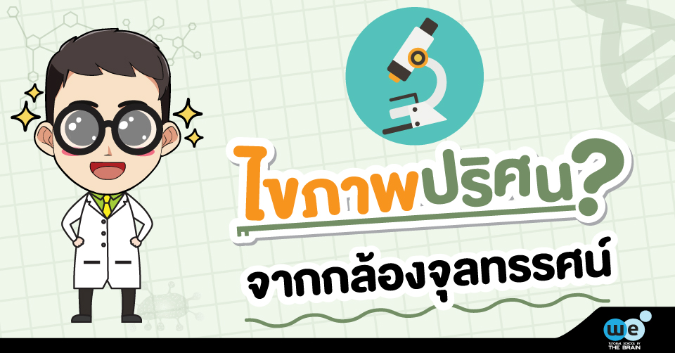 ชีวะ-ไขภาพปริศนา-กล้องจุลทรรศน์