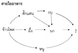 5.เตรียมฯ60