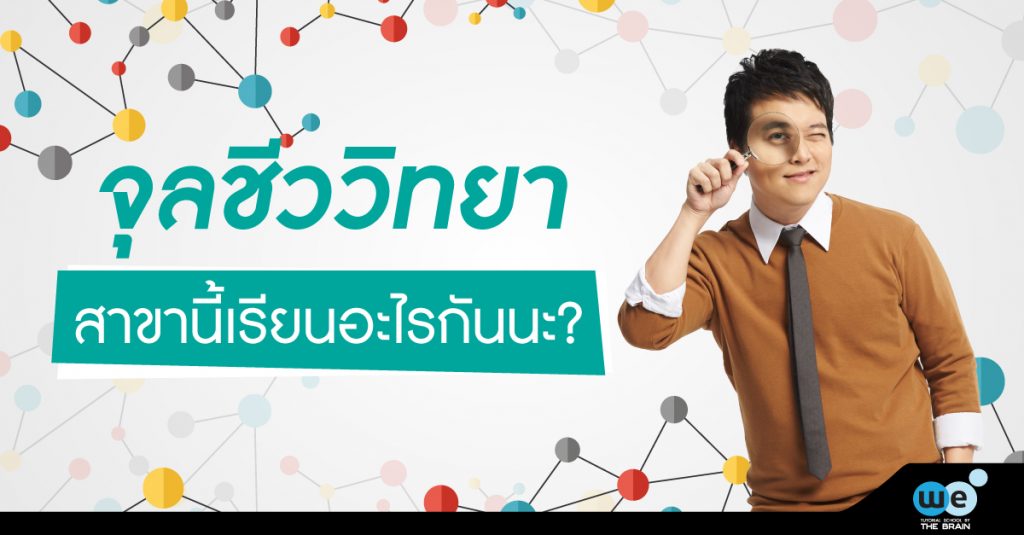 จุลชีววิทยา-เรียนอะไร