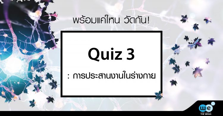 Quiz-Bio-การประสานงานในร่างกาย