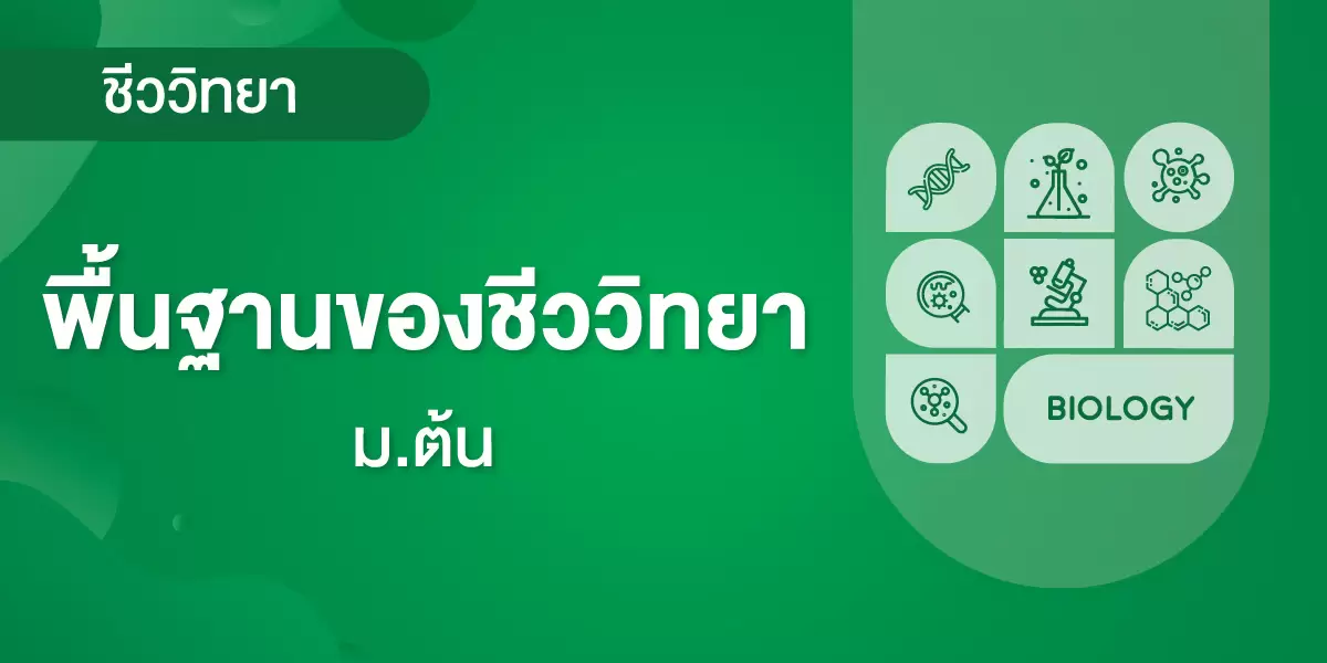 พื้นฐานของชีววิทยา