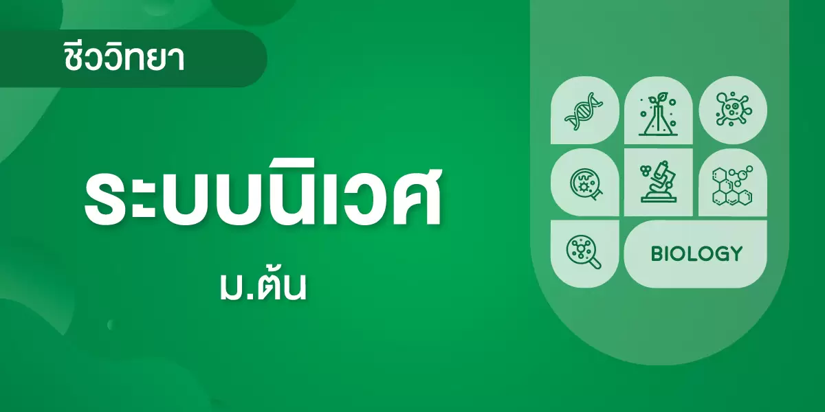ระบบนิเวศ