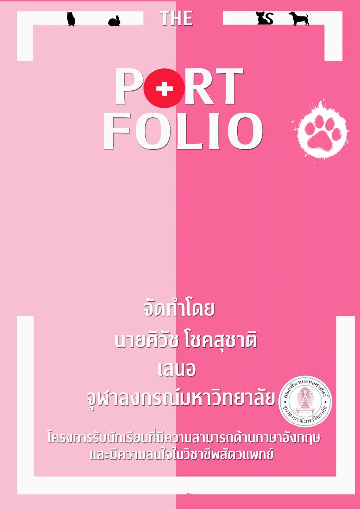 ตัวอย่าง portfolio สัตวแพทย์