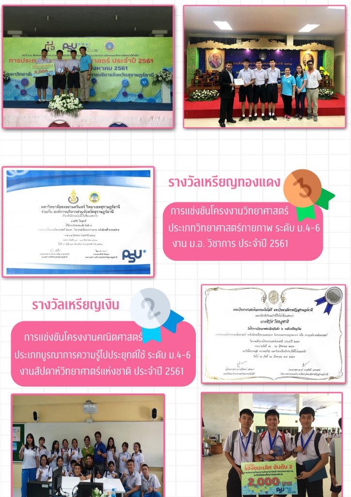 ตัวอย่าง portfolio สัตวแพทย์