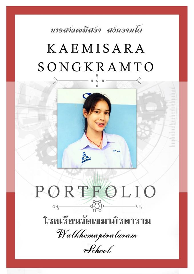 ตัวอย่าง portfolio วิศวะ