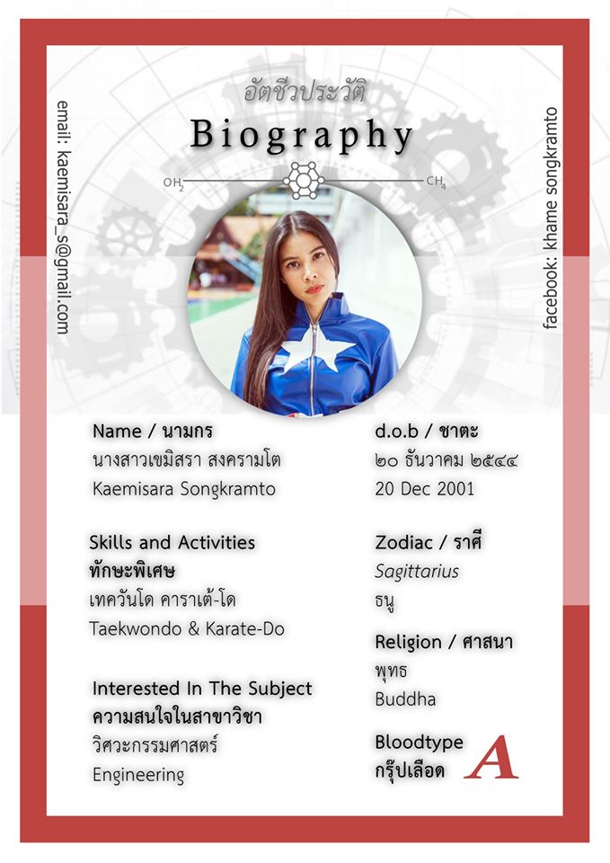 ตัวอย่าง portfolio วิศวะ