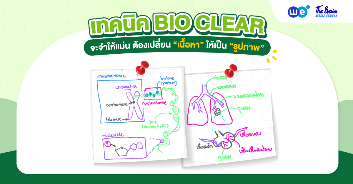 “เทคนิค BIO CLEAR” เรียนชีวะให้เข้าใจ ต้องเปลี่ยนเนื้อหาเป็นรูปภาพ