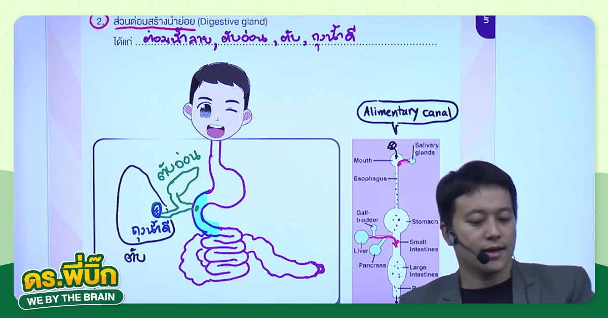 เรียนชีวะยังไงให้เข้าใจ ด้วย “เทคนิค BIO CLEAR”