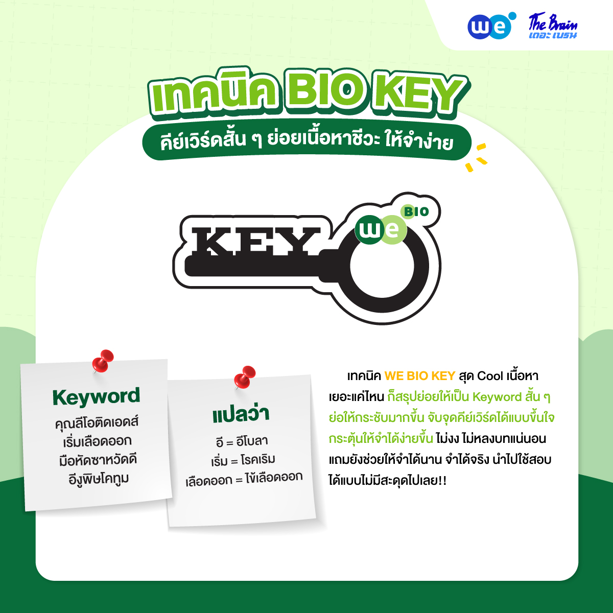 “เทคนิค BIO KEY” เรียนชีวะให้เข้าใจ จำง่าย