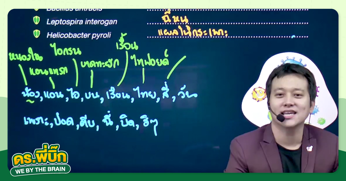 เรียนชีวะยังไงให้เข้าใจ ด้วย “เทคนิค BIO KEY”