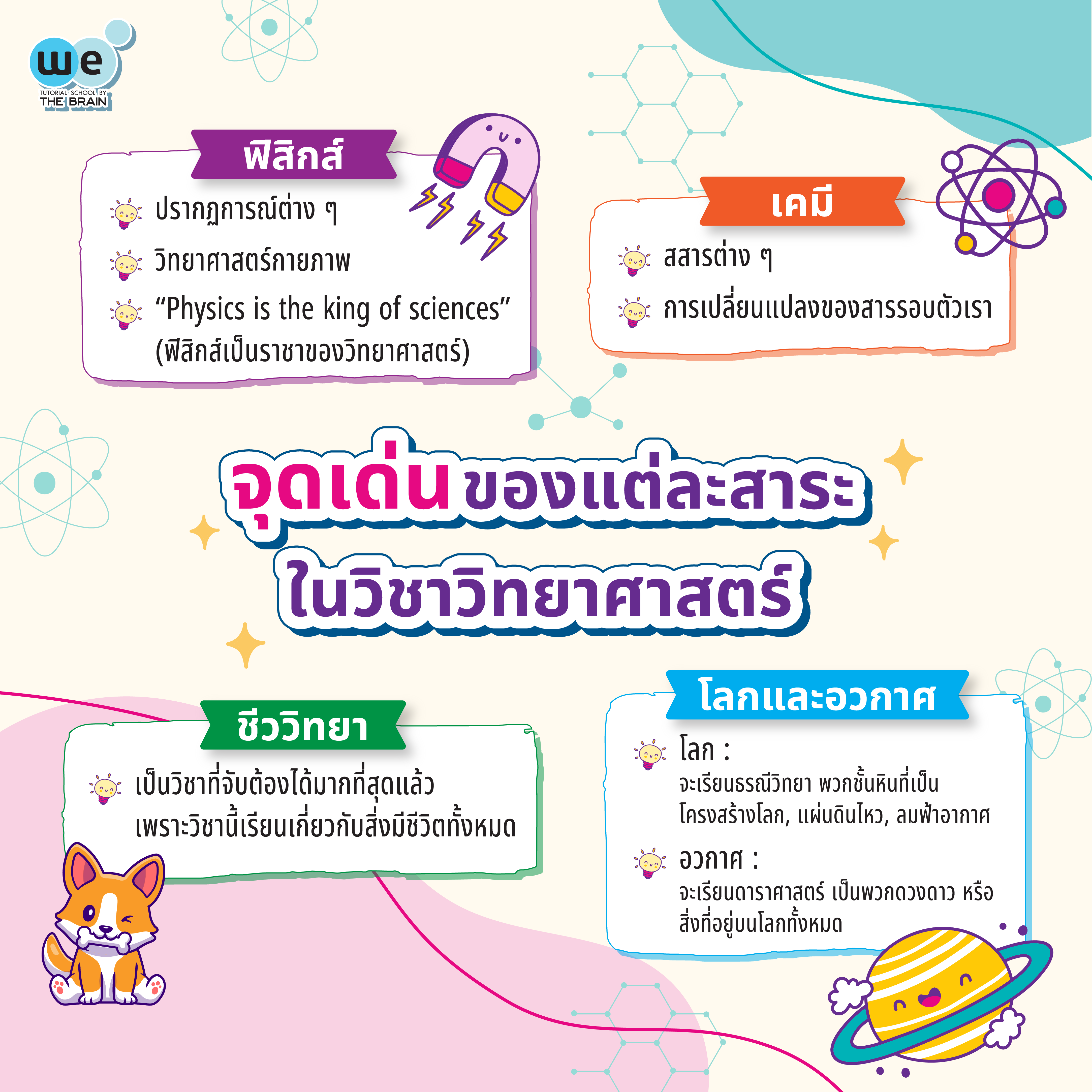 จุดเด่นของแต่ละสาระในวิชาวิทยาศาสตร์