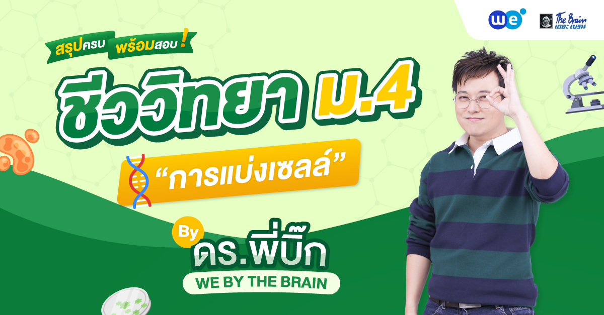 สรุป ชีวะ ม.4 - การแบ่งเซลล์