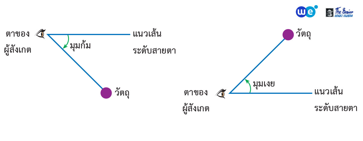 ฟังก์ชันตรีโกณมิติ ม.5 - การแก้สามเหลี่ยม ระยะทางและความสูง (มุมก้ม / มุมเงย)