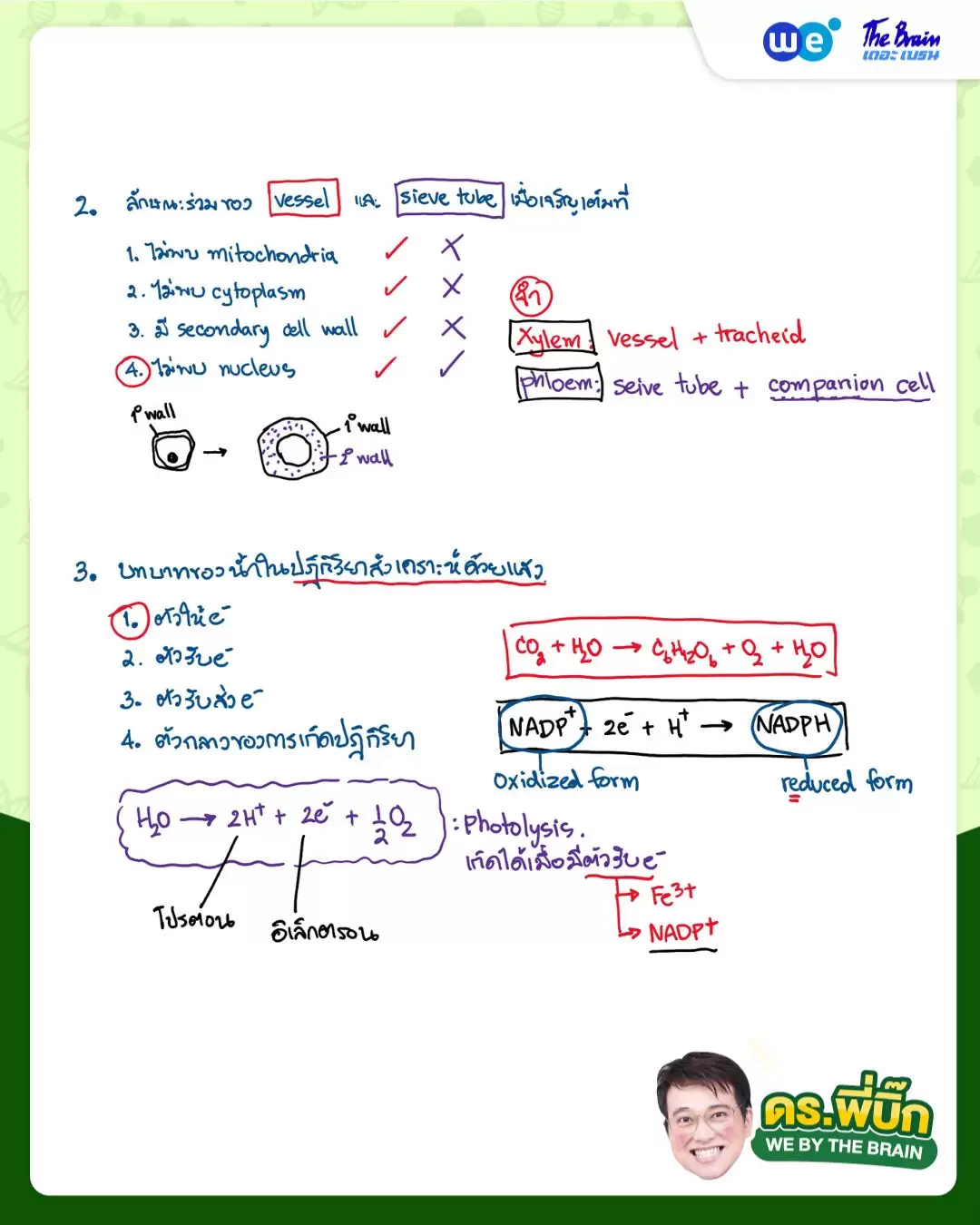 แนวข้อสอบ สอวน. ชีววิทยา พร้อมเฉลย (ข้อ 8 - 9)
