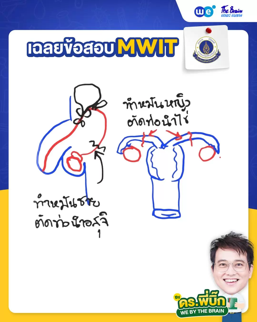 ข้อสอบ MWIT35 พร้อมเฉลย วิชาชีววิทยา ข้อที่ 2 - ดร.พี่บิ๊ก เดอะเบรน