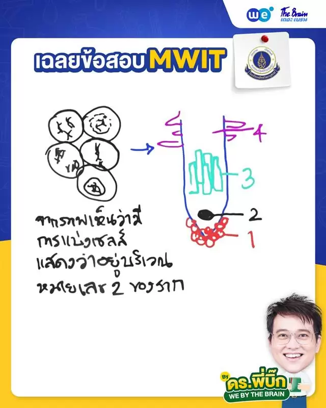 ข้อสอบ MWIT35 พร้อมเฉลย วิชาชีววิทยา ข้อที่ 3 - ดร.พี่บิ๊ก เดอะเบรน